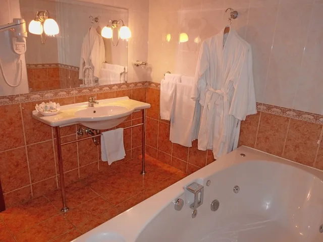 جناح بسرير كينج، Ambassador Hotel 6/6