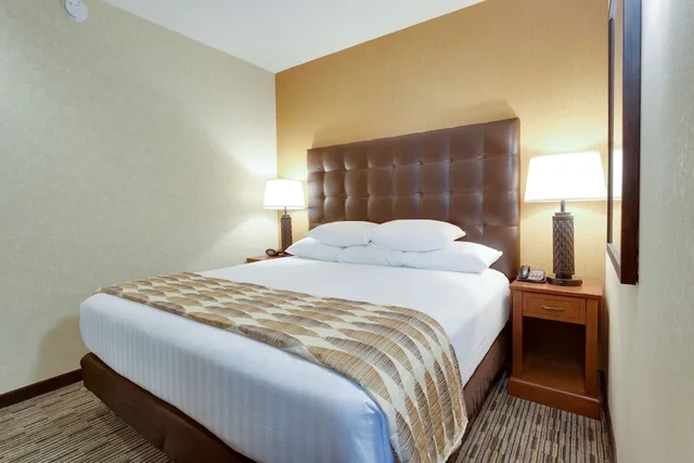 غرفة داخلية بسرير كينج لذوي الإعاقة، Drury Plaza Hotel St Louis At The Arch 1/3