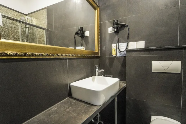 غرفة قياسية بسريرين منفصلين، Hotel Plaza 7/8
