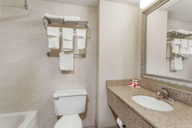 جناح ديلوكس بسرير كينج بغرفة نوم واحدة، Ramada By Wyndham Newburgh/West Point 3/3