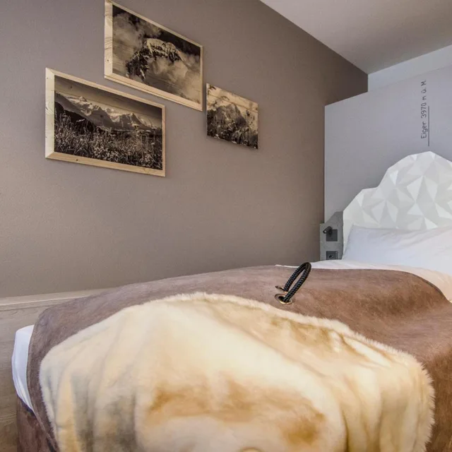 Modern, Single, Sunstar Hotel Grindelwald 4/6