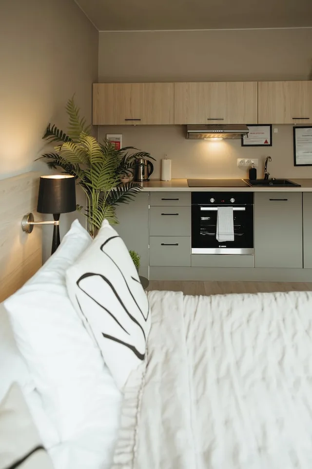 استوديو بسرير مزدوج، Vik Apartments 3/4