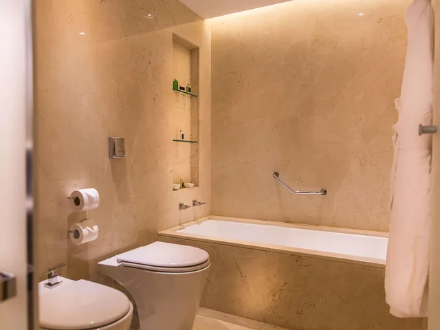 جناح ديلوكس بسرير كينج، Palladio Hotel Buenos Aires - MGallery Collection 5/6