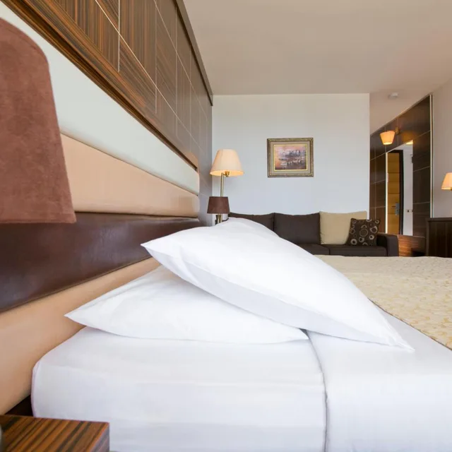 غرفة بسرير مزدوج أو سريرين منفصلين بشرفة، Hotel Palas 3/6