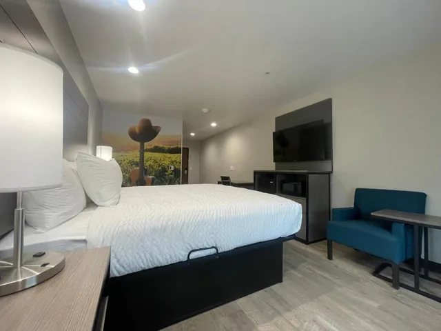 غرفة داخلية بسرير كينج، Clarion Pointe Fort Worth East - Arlington 2/7