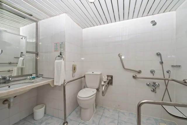 غرفة قياسية بسرير مزدوج، Adonis Hotel 5/5