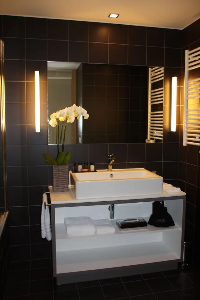 غرفة سوبيريور بسرير كينج، Hotel De La Source 5/5