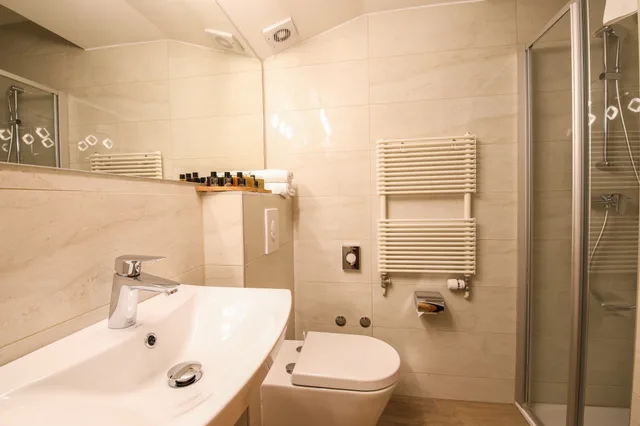 غرفة قياسية، Hotel Evropa Celje 4/4
