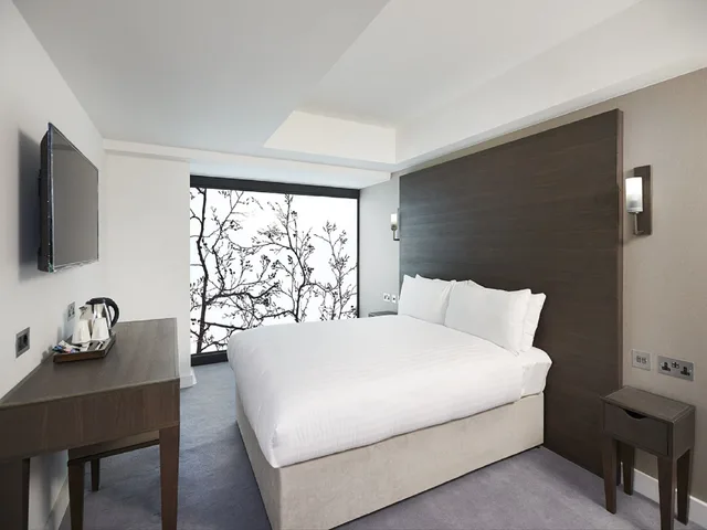 Renovated, Superior, Double Bed، Central Park Hotel 3/10
