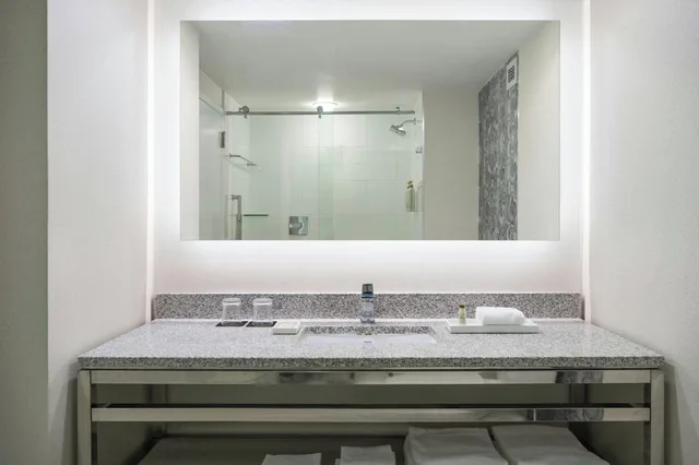 استوديو بسرير كينج، Renaissance Meadowlands Hotel 2/2