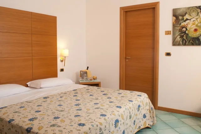 غرفة ديلوكس بسرير مزدوج بشرفة، City Hotel Casoria 1/4