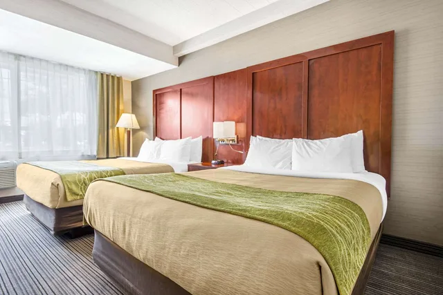غرفة بسريرين كوين، Comfort Inn & Suites Collingwood 2/2