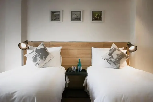 غرفة سوبيريور بسرير مزدوج أو سريرين منفصلين، C Central Hotel de Tham 3/5