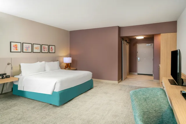 غرفة بسرير كينج لذوي الإعاقة، Hilton Garden Inn Brunswick Ga 3/4