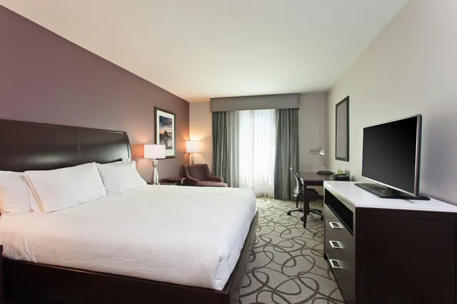 1 King Bed - K1، Hilton Garden Inn Irvine / Orange County Airport 2/8