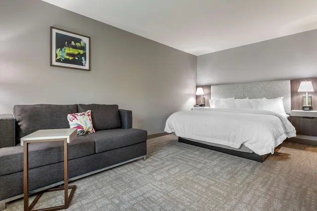 غرفة بسرير كينج مع أريكة بحوض جاكوزي، Hampton Inn Camden Sc 1/5