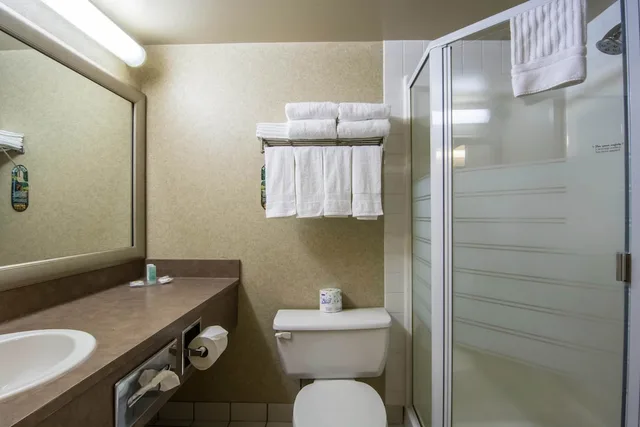 جناح بسرير كوين، Comfort Inn & Suites Calgary Airport - South 4/4