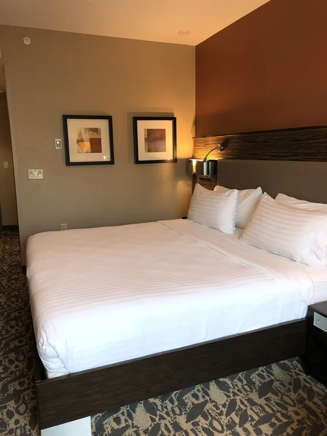 Specialty, King Bed، Holiday Inn Express Amp Suites North Dallas At Preston 1/7