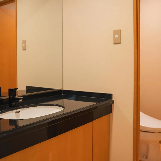 Japanese, Takarazuka Washington Hotel 1/1