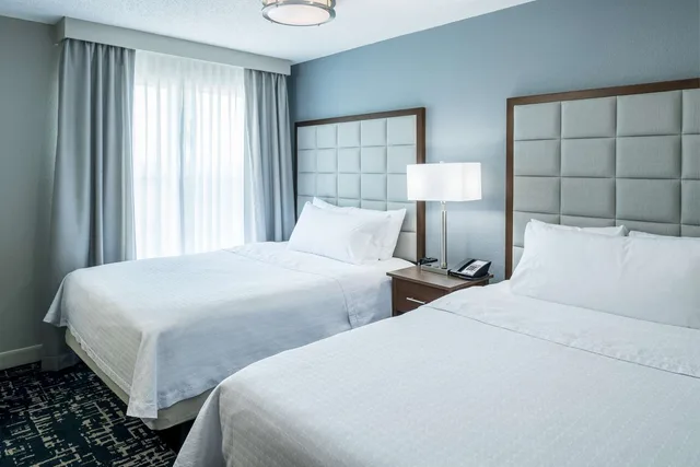 جناح بسريرين مزدوجين بغرفة نوم واحدة، Homewood Suites by Hilton Austin NW near The Domain 1/2