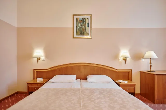 غرفة قياسية بسرير مزدوج أو سريرين منفصلين بإطلالة على البحر بشرفة، Hotel Lovran 5/7