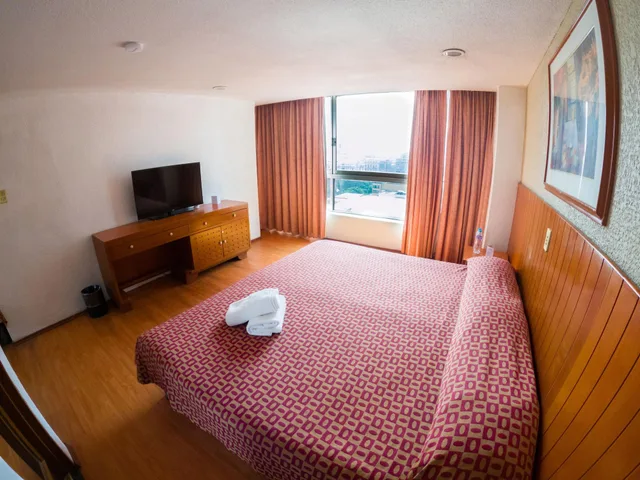 غرفة قياسية بسرير مزدوج، SAN FRANCISCO CENTRO HISTORICO HOTEL 1/10