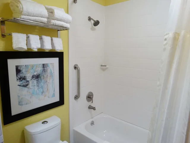 غرفة قياسية بسرير كينج، Best Western Dewitt 8/8