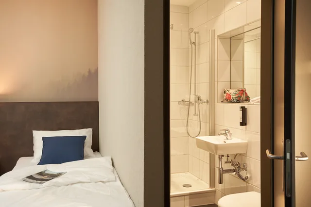 غرفة قياسية مفردة، THE HEY HOTEL INTERLAKEN 7/12