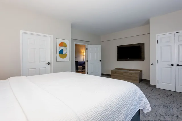 جناح بسرير فردي لذوي الإعاقة، Holiday Inn Express Tampa N I-75 - University Area by IHG 1/3