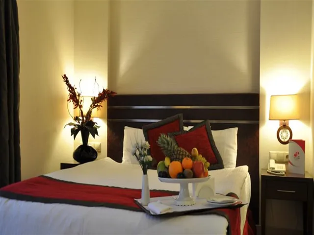 غرفة قياسية مفردة بسرير مزدوج، Niza Park Hotel 5/8