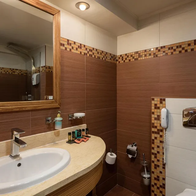 غرفة اقتصادية بسرير مزدوج أو سريرين منفصلين، Atlantica Caldera Creta Paradise Hotel 8/9