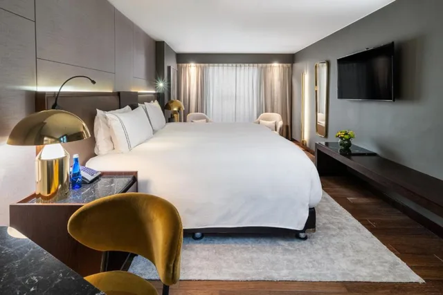 غرفة ديلوكس بسرير مزدوج، Sofitel Bogota Victoria Regia 1/1