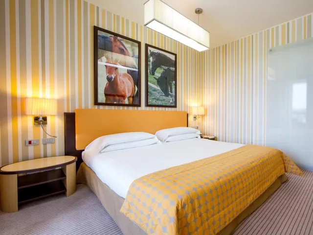 غرفة سوبيريور بسرير مزدوج، Unahotels Varese 1/1