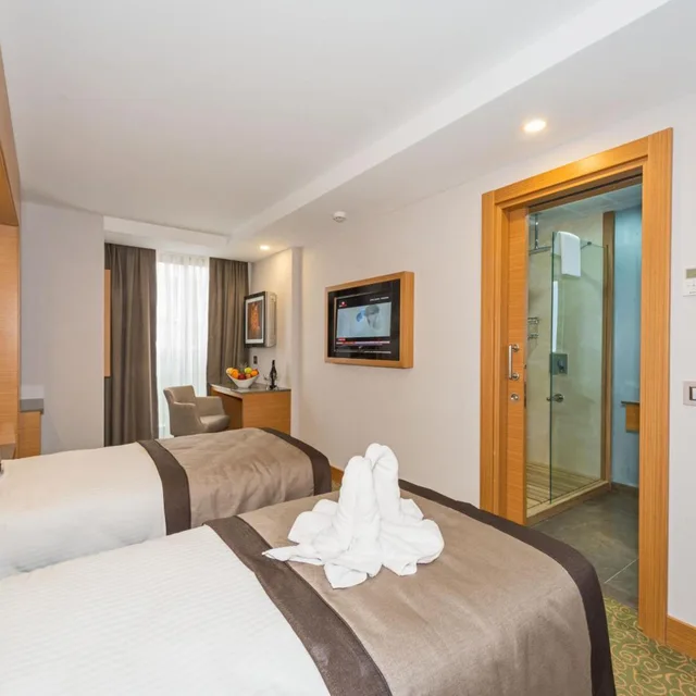 غرفة بسرير مزدوج أو سريرين منفصلين، Bisetun Hotel 5/10