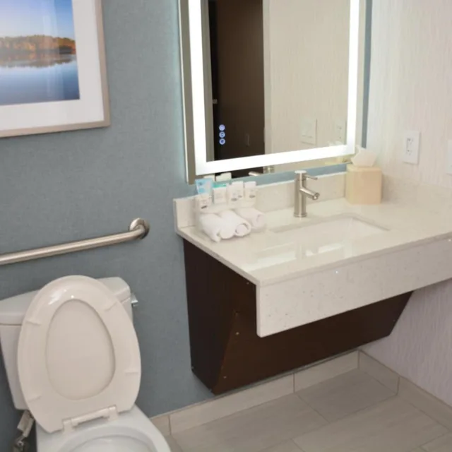 غرفة بسرير كينج بحوض استحمام لذوي الإعاقة، Four Points by Sheraton Fayetteville Fort Liberty 7/10