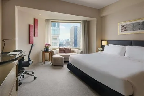 غرفة مفردة، Ana Intercontinental Tokyo 1/1