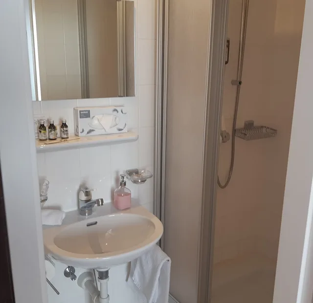 Standard, Single, Valley View, Balcony، Hotel Regina Wengen 12/12