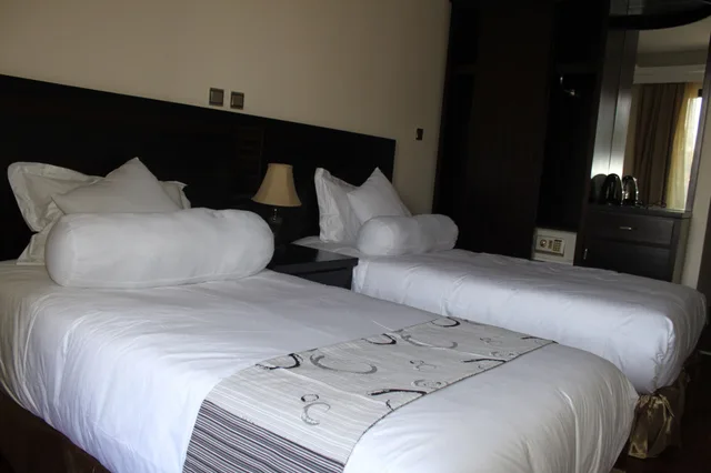 غرفة ديلوكس بسريرين منفصلين بإطلالة على المدينة بشرفة، Southern Addis Hotel 2/2