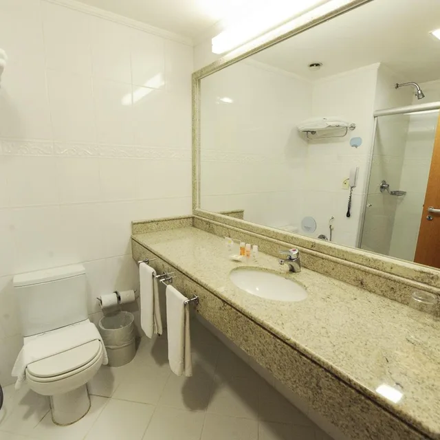 غرفة ديلوكس، Bristol Santo Andre Hotel 6/8