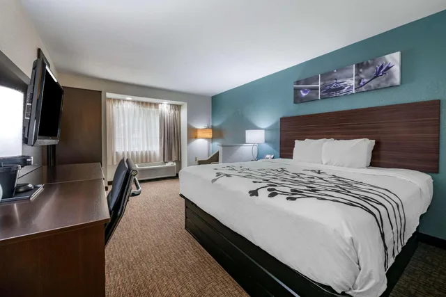 Room, King Bed, Bathtub, Accessible, Sleep Inn Jacksonville Airport 1/2