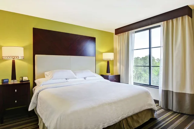 غرفة بسرير كينج لذوي الإعاقة، Embassy Suites By Hilton Savannah Airport 1/2