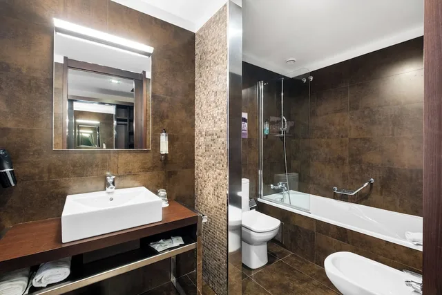 غرفة بسرير فردي مع سرير إضافي، Axis Porto Business & Spa Hotel 8/10