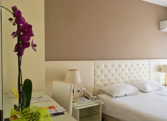 غرفة بزنس بسرير مزدوج، Capsis Hotel Thessaloniki 2/3
