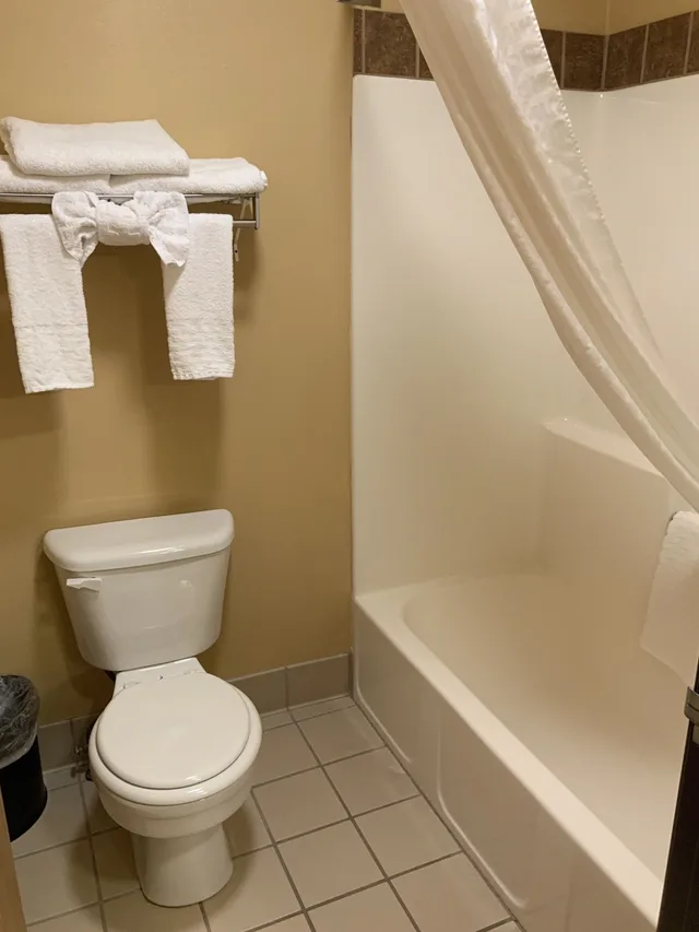 غرفة قياسية بسرير كينج، Best Western Sawtooth Inn & Suites 7/8