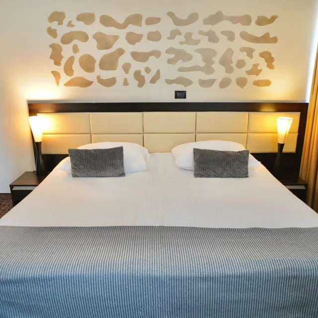 غرفة بسرير مزدوج، Hotel Diplomat 5/10