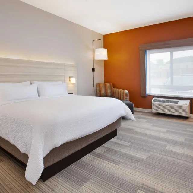 غرفة قياسية بسرير مزدوج، Holiday Inn Express Hotel Suites Athens 1/5