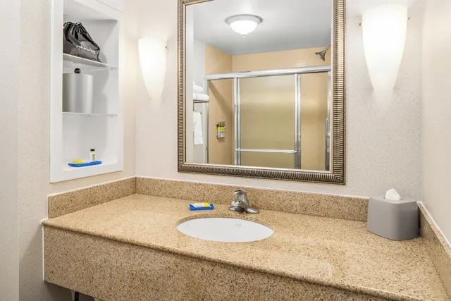 غرفة قياسية بسرير كينج، Holiday Inn Express Hotel And Suites Wilmington Newark 4/7