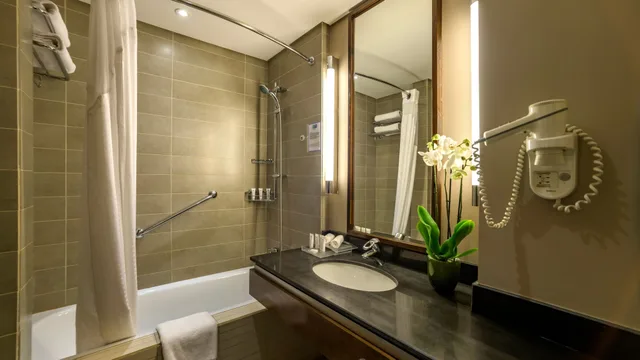 غرفة قياسية بسريرين منفصلين بإطلالة على البحر للمدخنين، Holiday Inn Resort Dead Sea 4/5