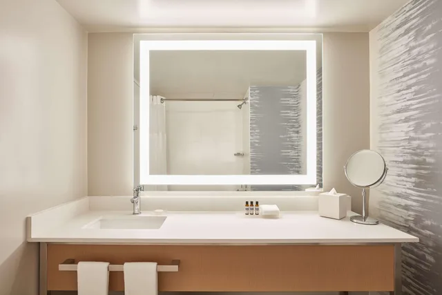 غرفة ديلوكس بسرير مزدوج، Hyatt Regency Orange County 4/4