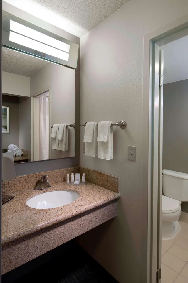غرفة بسرير كينج بإطلالة على المسبح، Sonesta Select Boca Raton 3/3